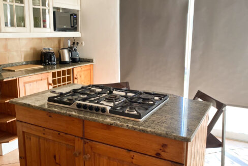 NOVA-AGUSTIN-Kitchen 3
