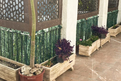 NOVA-AGUSTIN-Terrace 2